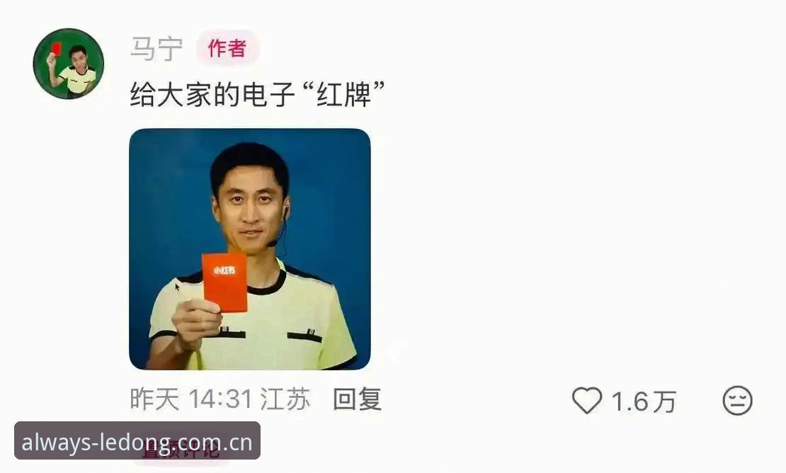乐动体育西甲赞助商APP安卓版 揭秘世界杯裁判马宁背后不为人知的“社交网络戒断”